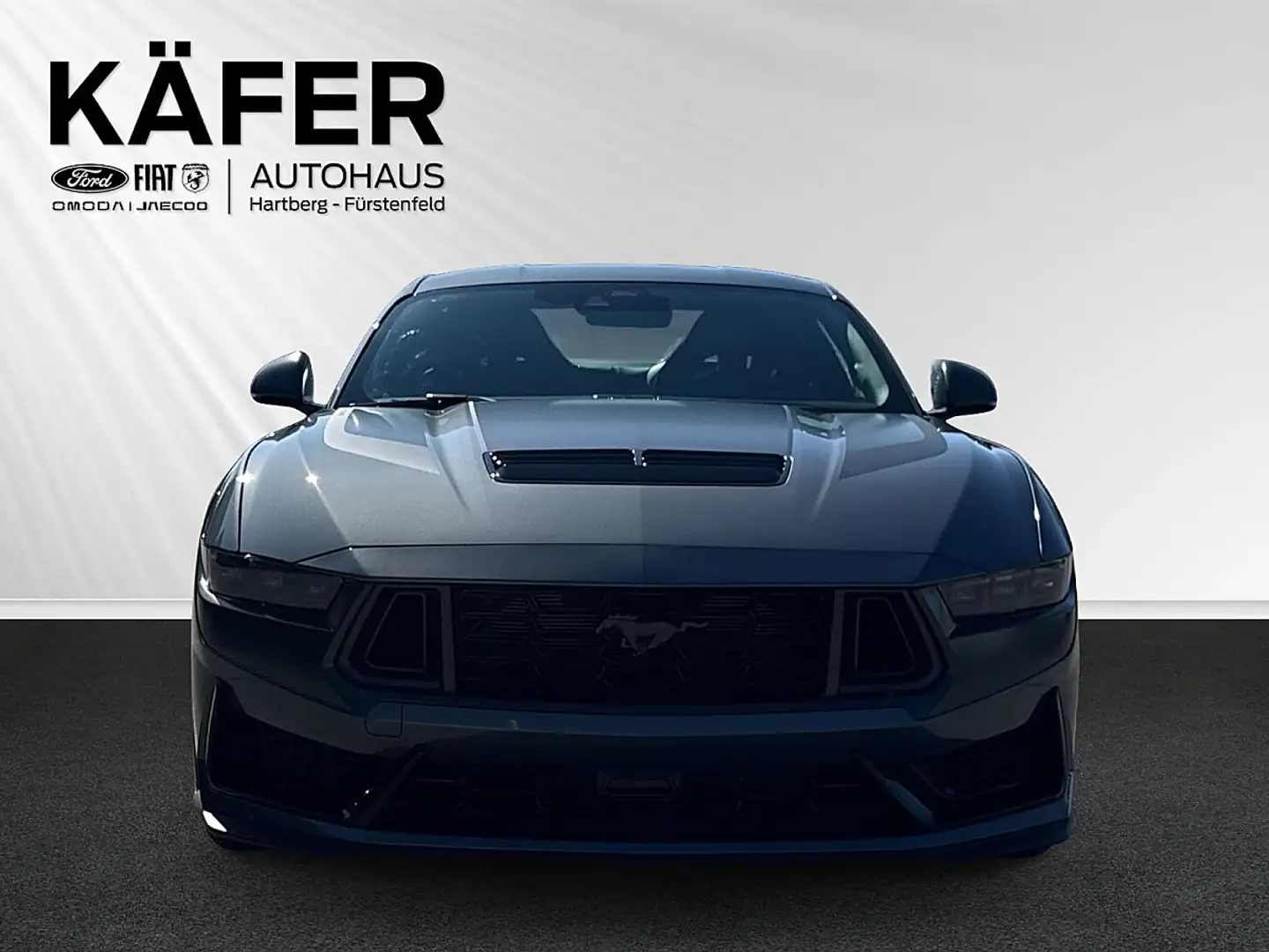 Ford Mustang 5,0 Ti-VCT V8 Dark Horse Aut.*RECARO-SPORT* Grau - 2