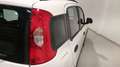 Fiat Panda City Life Hybrid 1.0 Gse 51kw (70CV) Blanco - thumbnail 11
