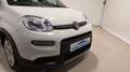 Fiat Panda City Life Hybrid 1.0 Gse 51kw (70CV) Wit - thumbnail 5