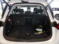 smart #1 Premium DISTR SPUR 360 PANO PDC SHZ Blanco - thumbnail 13