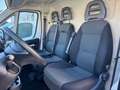 Fiat Ducato Ducato 33 2.3 MJT 140CV PM-TM Furgone Blanc - thumbnail 12