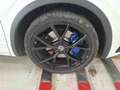 Volkswagen Tiguan R 2.0 TSI DSG Sonderleasing AHK Pano Harman Area H Weiß - thumbnail 10