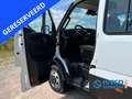 Iveco Daily 50C18 | HI-Matic | 3.0 180PK | Luchtvering | dubbe Weiß - thumbnail 14