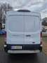 Ford Transit Kasten 2,0 EcoBlue L2H2 290 Startup Weiß - thumbnail 2