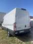 Iveco Daily L3 H2 35 S14 COIBENTATO CON FRIGO PRONTA CONSEGNA Blanc - thumbnail 4