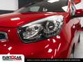 Kia Picanto Picanto 1.0 12V EcoGPL 5 porte Glam Nero - thumbnail 14