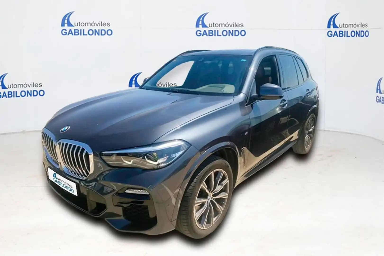 BMW X5 xDrive40i Gris - 1
