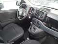 Fiat Panda 1.0 firefly hybrid 70CV Blau - thumbnail 12