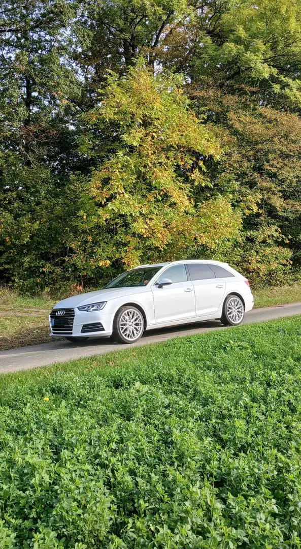 Audi A4 Avant 2.0 TFSI ultra S tronic Weiß - 2