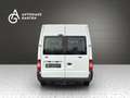 Ford Transit FT 300 M Trend 9 Sitzer Klima AHK Temp. Weiß - thumbnail 3