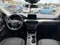 Ford Kuga 1.5 EcoBlue 120 CV aut. 2WD Titanium Business Grigio - thumbnail 13