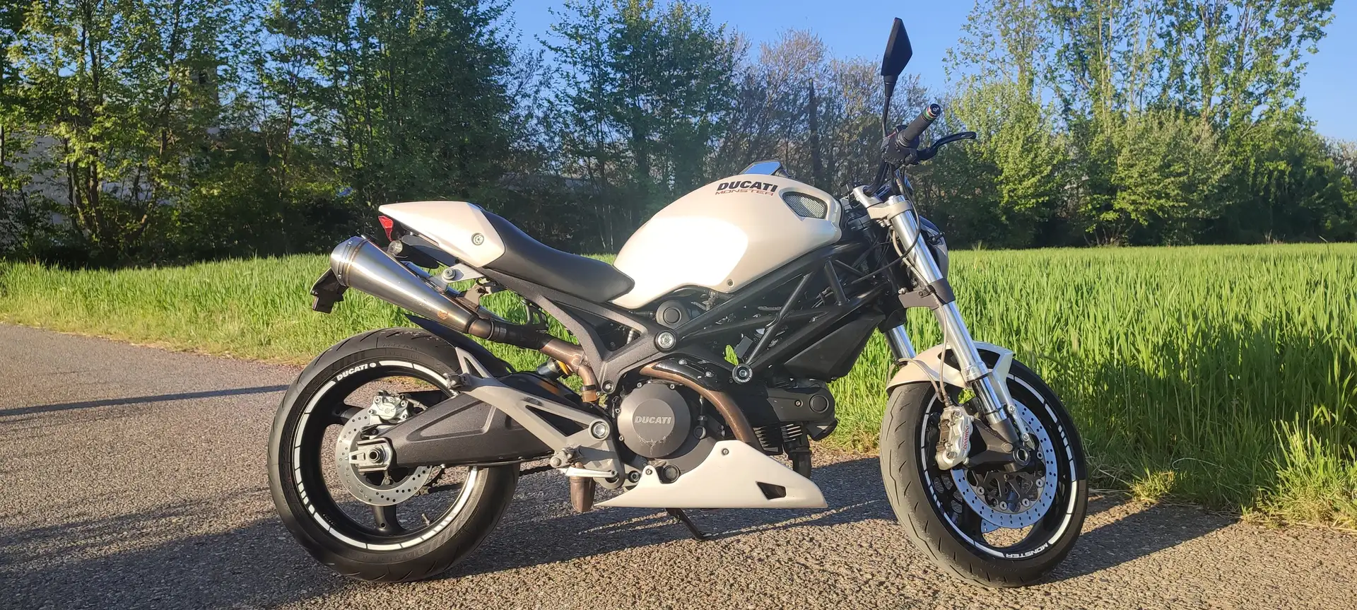 Ducati Monster 696 Wit - 1
