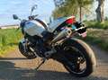 Ducati Monster 696 Blanc - thumbnail 2
