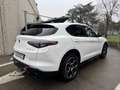 Alfa Romeo Stelvio 2.2 t Veloce Q4 210CV Auto " OTTIMO PREZZO " Blanc - thumbnail 3