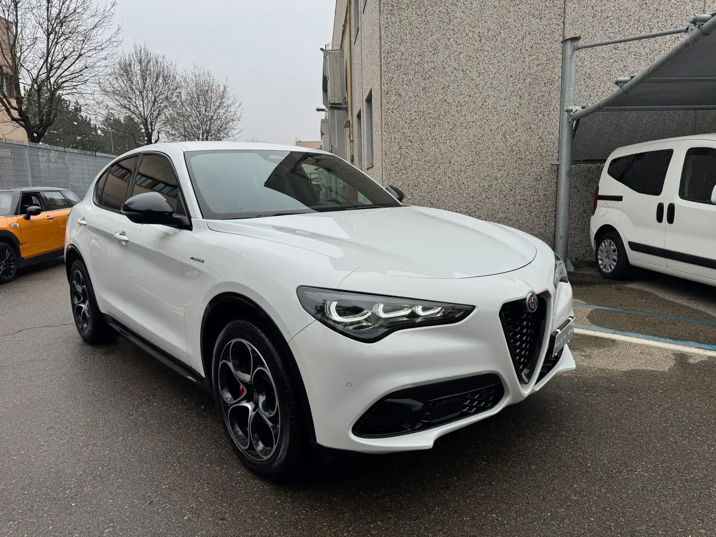 Alfa Romeo Stelvio 2.2 t Veloce Q4 210CV Auto " OTTIMO PREZZO " Blanc - 2
