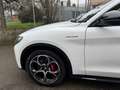 Alfa Romeo Stelvio 2.2 t Veloce Q4 210CV Auto " OTTIMO PREZZO " Blanc - thumbnail 5
