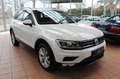 Volkswagen Tiguan Comfortline BMT+4Motion+StHz+PDC+AHK+SHZ+ Weiß - thumbnail 8