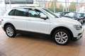 Volkswagen Tiguan Comfortline BMT+4Motion+StHz+PDC+AHK+SHZ+ Weiß - thumbnail 7