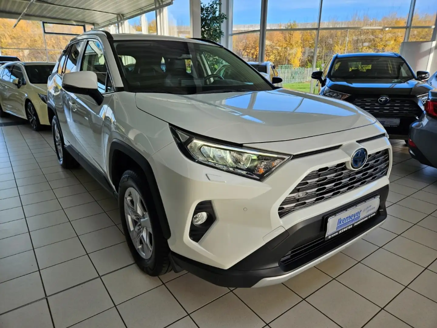 Toyota RAV 4 2.5 Hybrid Team DK Leder AHK elektr. Heckklappe Weiß - 2