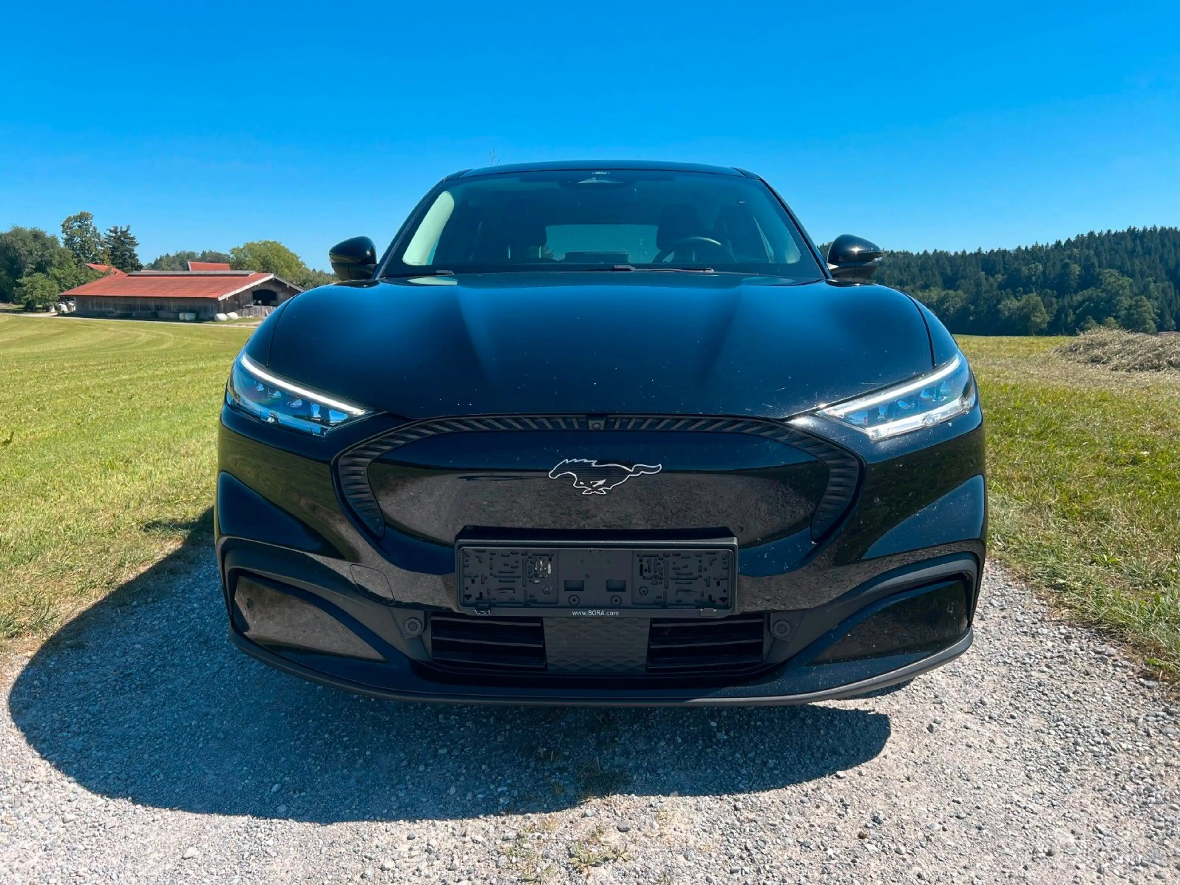 Ford Mustang Mach-E 99kwh SoH 93 %Bang Olufsen 8fach — photo 2
