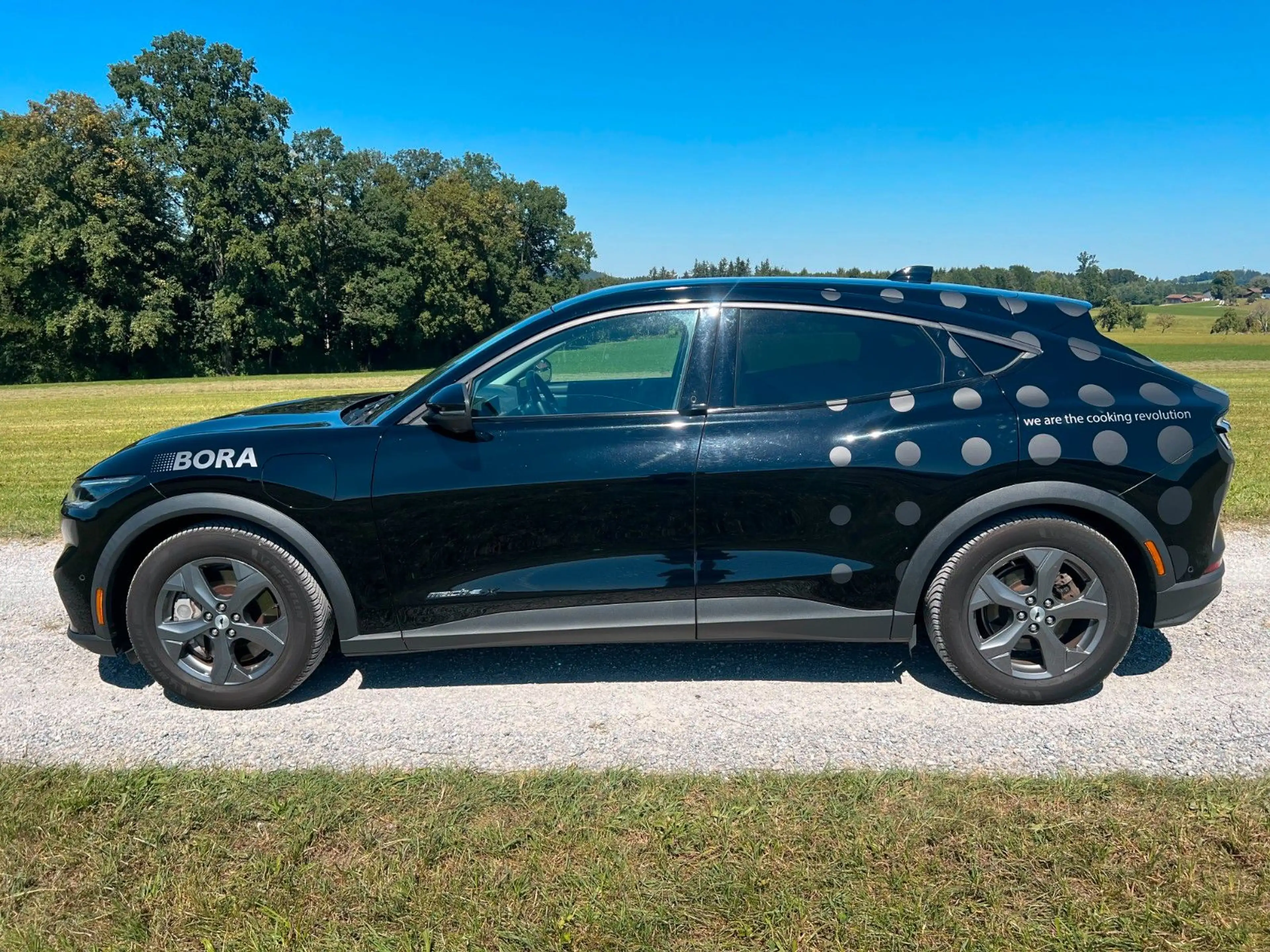 Ford Mustang Mach-E 99kwh SoH 93 %Bang Olufsen 8fach — photo 8