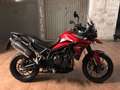 Triumph Tiger 900 GT PRO Rouge - thumbnail 1