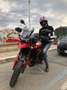 Triumph Tiger 900 GT PRO Rouge - thumbnail 2