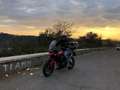 Triumph Tiger 900 GT PRO Rouge - thumbnail 3