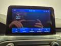 Ford Focus 1.5 EcoBlue 120CV N1 - UNIP. - Cam - Cruise/Lim Argent - thumbnail 22