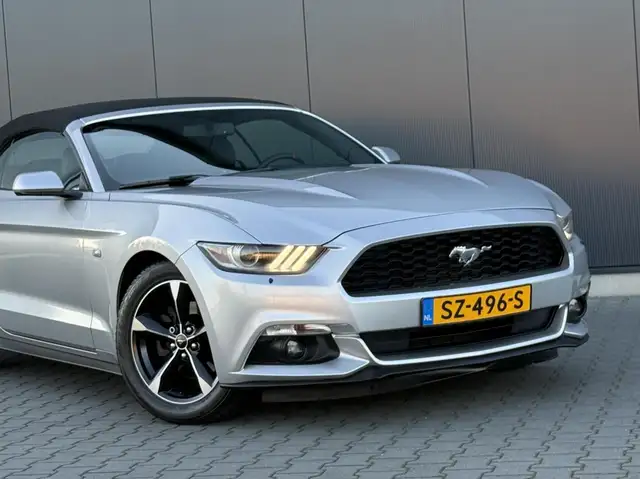 Ford Mustang view 13