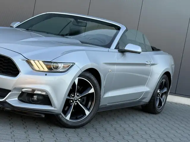 Ford Mustang view 6