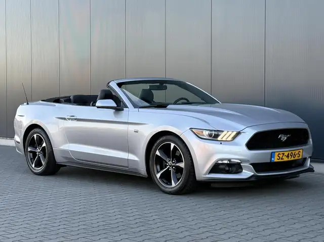 Ford Mustang view 11