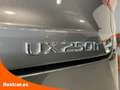 Lexus UX 250h 2.0 Business Navigation Gris - thumbnail 9