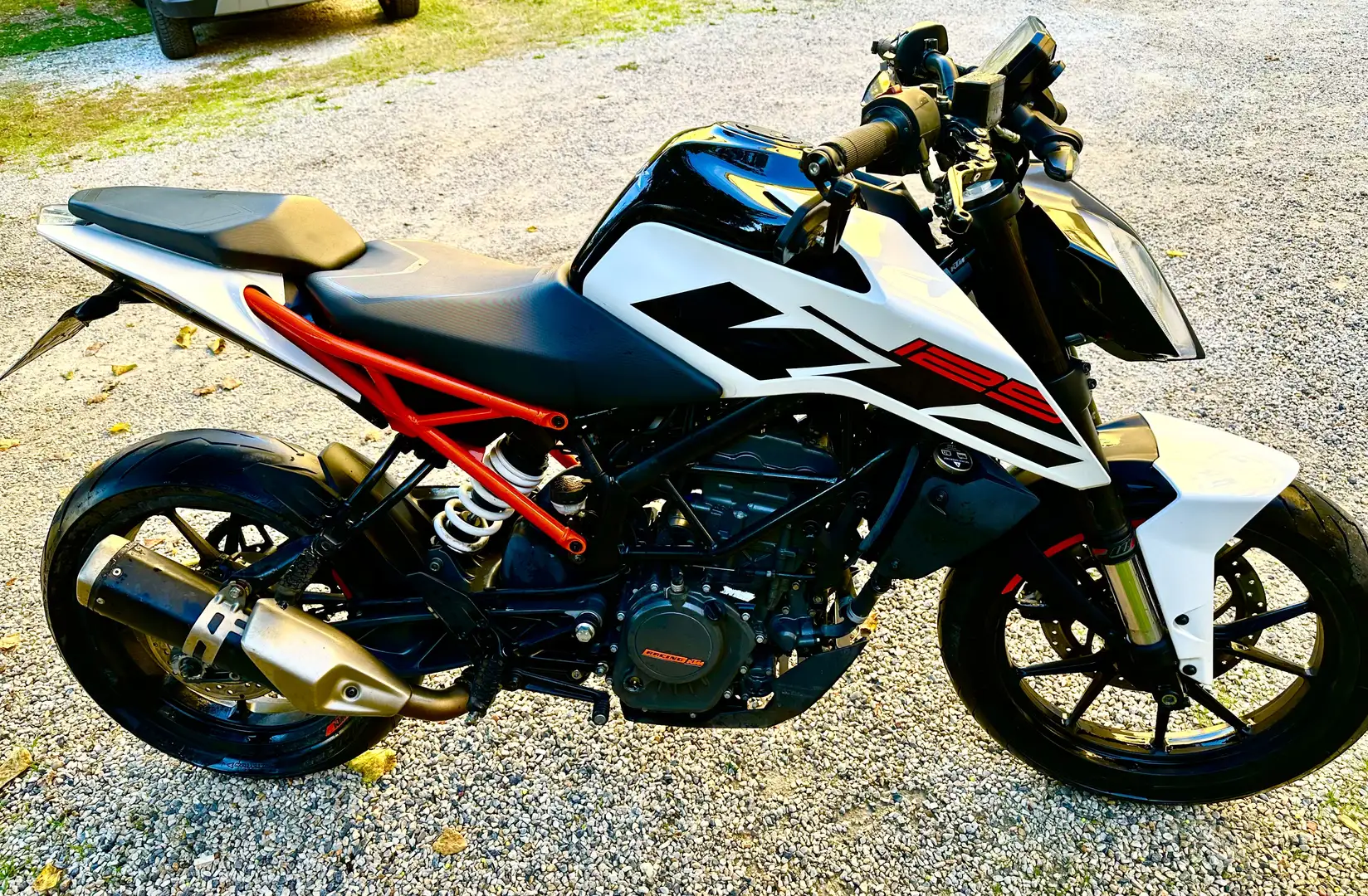 KTM Duke - 1