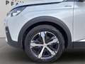 Peugeot 5008 1,2 PureTech 130 S&S GT Line Weiß - thumbnail 3