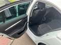 Skoda Octavia Octavia 1.0 TSI eTec MHE Style DSG - Superbe! Wit - thumbnail 13