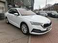 Skoda Octavia Octavia 1.0 TSI eTec MHE Style DSG - Superbe! Wit - thumbnail 10