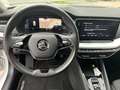 Skoda Octavia Octavia 1.0 TSI eTec MHE Style DSG - Superbe! Wit - thumbnail 20