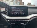 Skoda Octavia Octavia 1.0 TSI eTec MHE Style DSG - Superbe! Wit - thumbnail 23