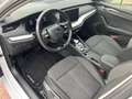 Skoda Octavia Octavia 1.0 TSI eTec MHE Style DSG - Superbe! Wit - thumbnail 12