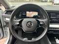 Skoda Octavia Octavia 1.0 TSI eTec MHE Style DSG - Superbe! Wit - thumbnail 21