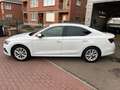 Skoda Octavia Octavia 1.0 TSI eTec MHE Style DSG - Superbe! Wit - thumbnail 5