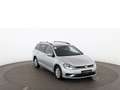 Volkswagen Golf Variant Golf VII Variant 1.6 TDI Trendline NAVI SITZHZG Plateado - thumbnail 6