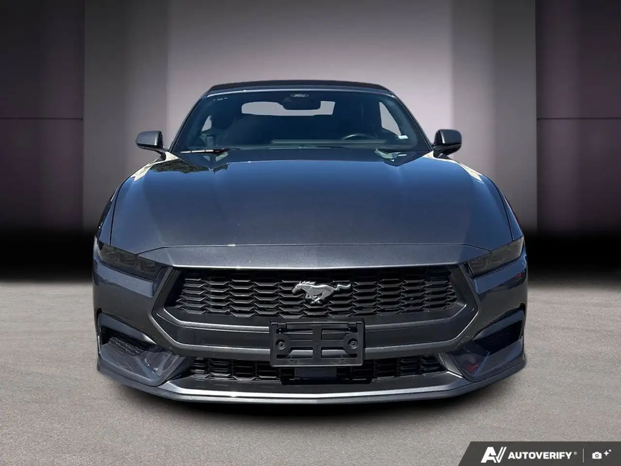 Ford Mustang photo Ford Mustang