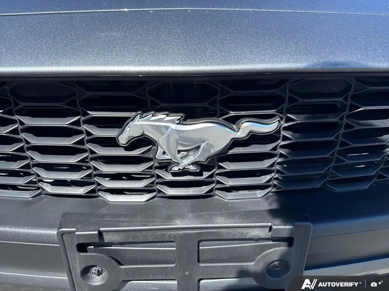 Ford Mustang photo Ford Mustang