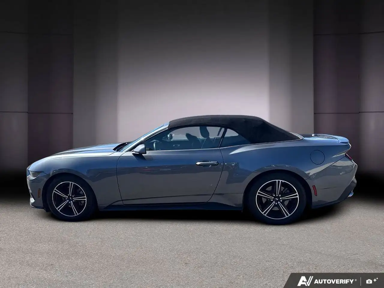 Ford Mustang photo Ford Mustang