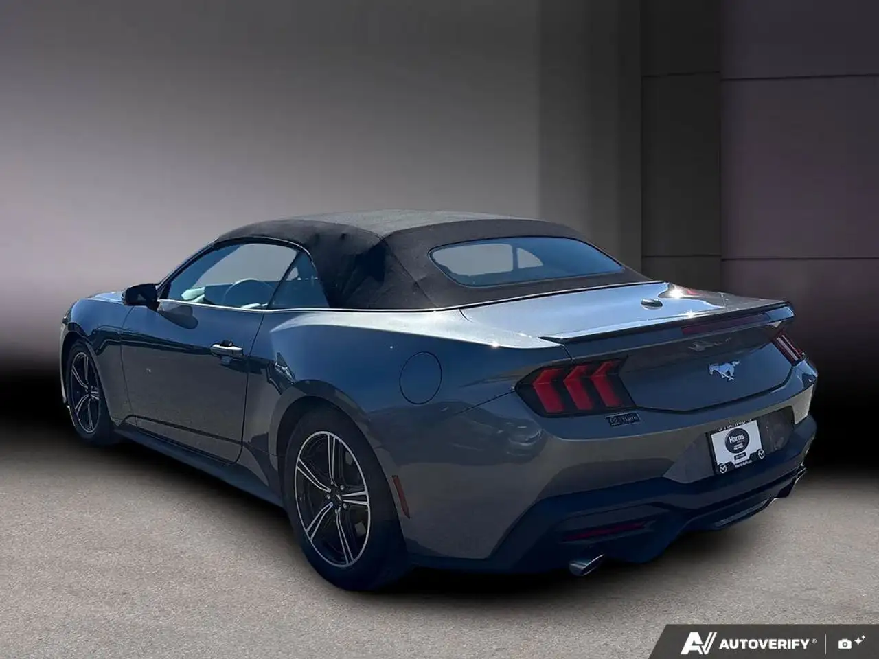 Ford Mustang photo Ford Mustang