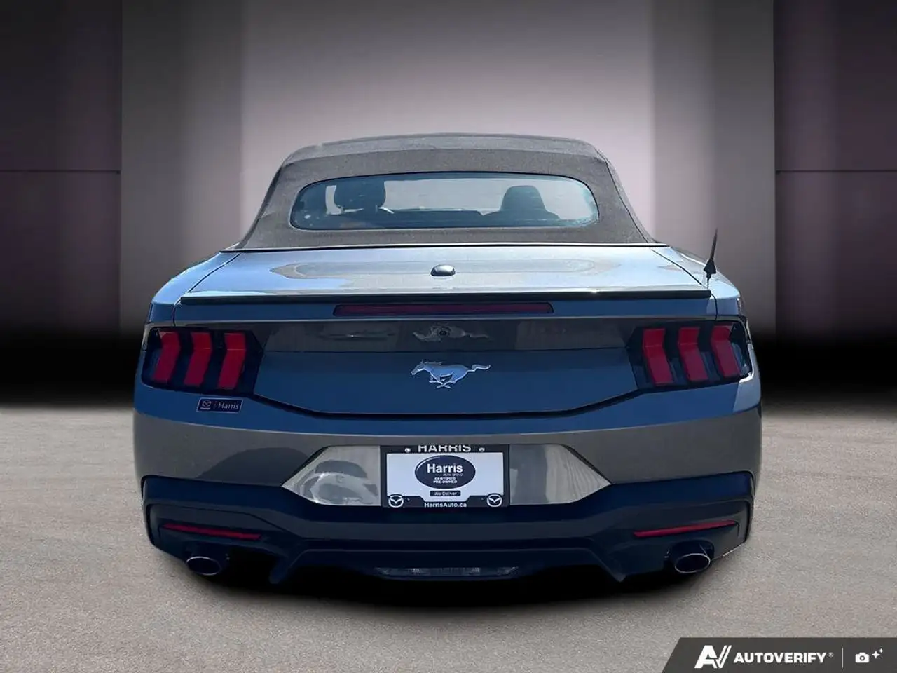 Ford Mustang photo Ford Mustang