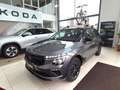 Skoda Kamiq Kamiq 1.0 TSI 115 CV 130 Edition Grigio - thumbnail 2