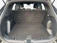 Ford Kuga 2.0 EcoBlue Aut. ST-LINE Schwarz - thumbnail 5